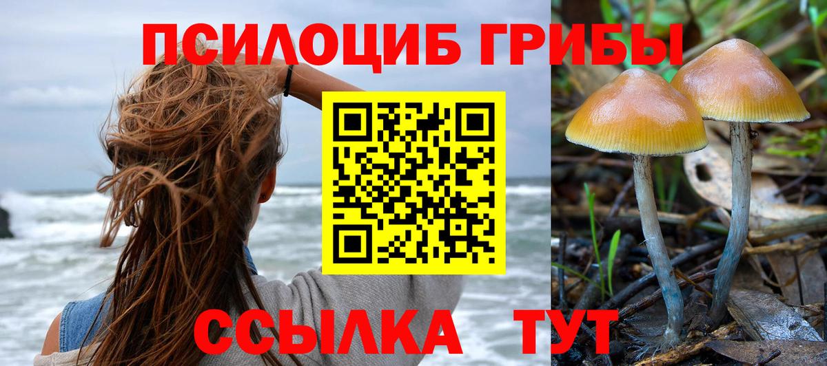 Галлюциногенные грибы ЛСД Великий Устюг