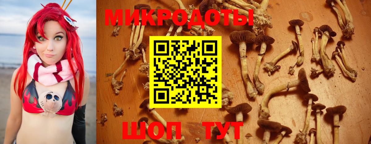 Великий Устюг  Псилоцибиновые грибы Cubensis  Псилоцибиновые грибы Psilocybe  Вход с VPN 